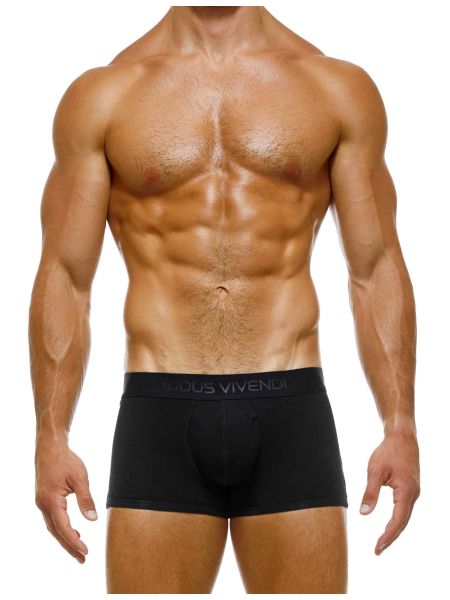 Men's Boxer Briefs Depeche Mode Underwear Boxers Covered Waistband